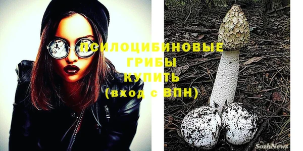 Альфа ПВП Кодинск