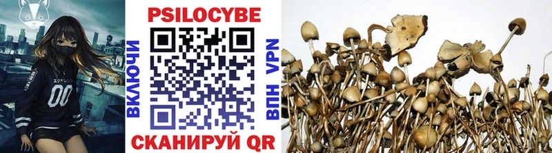 Купить закладки  Дмитровск  Псилоцибиновые грибы Magic Shrooms 